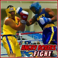 PLay Angry Boxers Fight now!