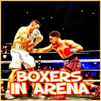 Play Boxers In Arena now!