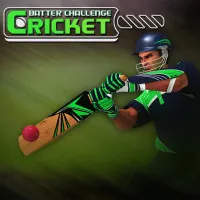 PLay Cricket Batter Challenge Game now!