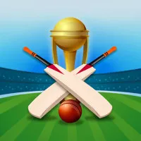 PLay Cricket Champions Cup now!