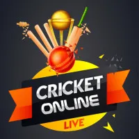 PLay Cricket Online now!