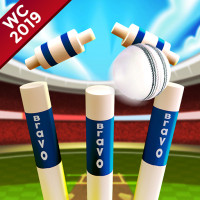 Play Cricket World Cup Game 2019 Mini Ground Cricke now!