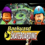 Backyard Skateboarding