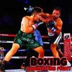 Boxing Champions Fight