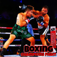 Play Boxing Champions Fight now!