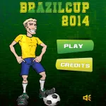 Brazil Cup 2014