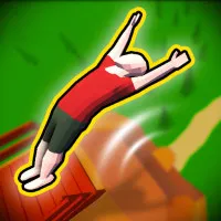 PLay Crazy Flips 3D now!