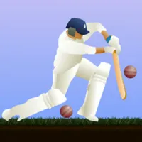 PLay Cricket now!