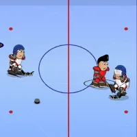 Hockey Without Rules