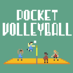 Pocket Volleyball