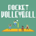 Pocket Volleyball