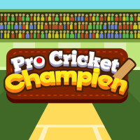 Play Pro Cricket Champion now!