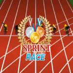 Sprint Race