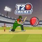 T20 Cricket