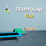 Trampoline Flip