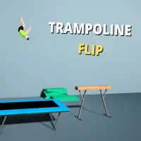 PLay Trampoline Flip now!