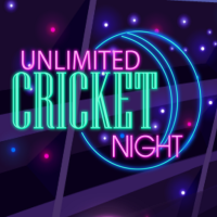 Play Unlimited Cricket Night now!