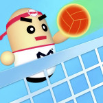 Volleyball 3D