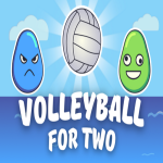 Volleyball For Two